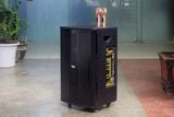 Loa kéo D550 Goldsound (Bass 40 cm, 550w, kèm 2 Micro)