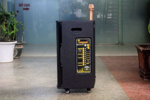 Loa kéo D550 Goldsound (Bass 40 cm, 550w, kèm 2 Micro)