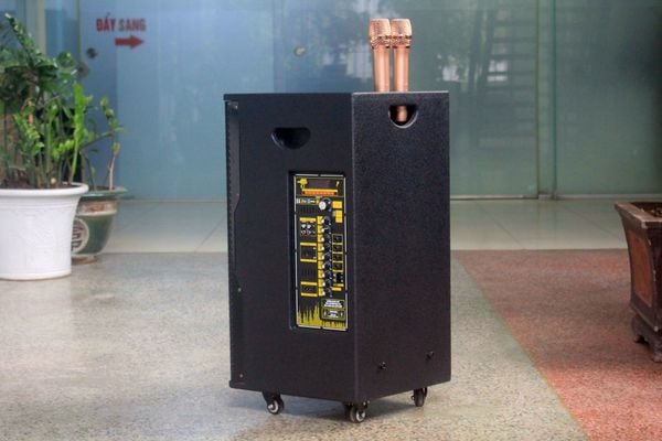 Loa kéo D550 Goldsound (Bass 40 cm, 550w, kèm 2 Micro)