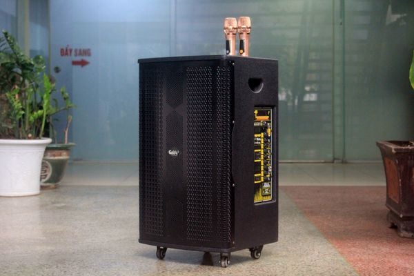 Loa kéo D550 Goldsound (Bass 40 cm, 550w, kèm 2 Micro)