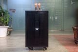Loa kéo D550 Goldsound (Bass 40 cm, 550w, kèm 2 Micro)