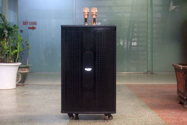 Loa kéo D550 Goldsound (Bass 40 cm, 550w, kèm 2 Micro)