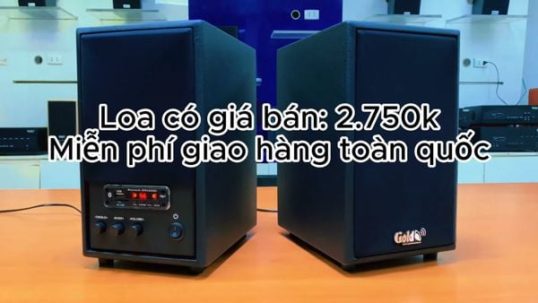 Loa HIFI GS51 Pro 5 - đúng chuẩn HIFI, công suất 120w, Bass 4 inch, treble 2 inch, bluetooth 5.0, cổng rca, khe usb, thiết kế loa thùng gỗ cao 31.5 cm, rộng 17.5 cm, sâu 24 cm.