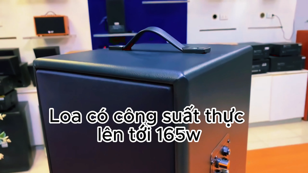 Loa KARAOKE D165PU (tặng kèm 1 micro)