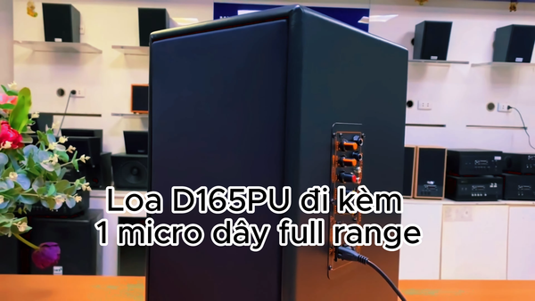 Loa KARAOKE D165PU (tặng kèm 1 micro)