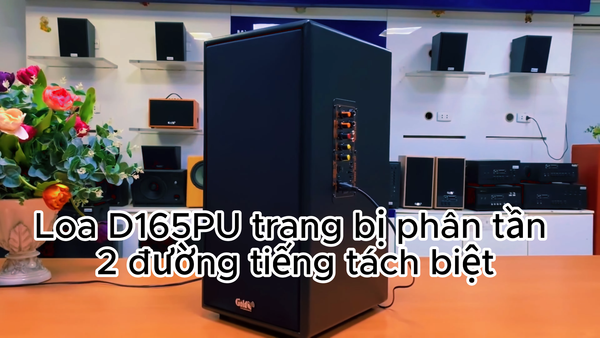 Loa KARAOKE D165PU (tặng kèm 1 micro)