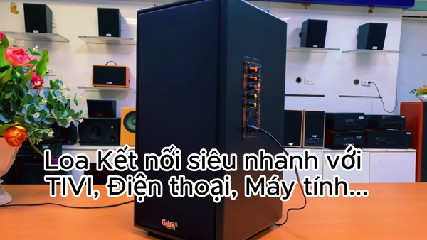 Loa KARAOKE D165PU (tặng kèm 1 micro)