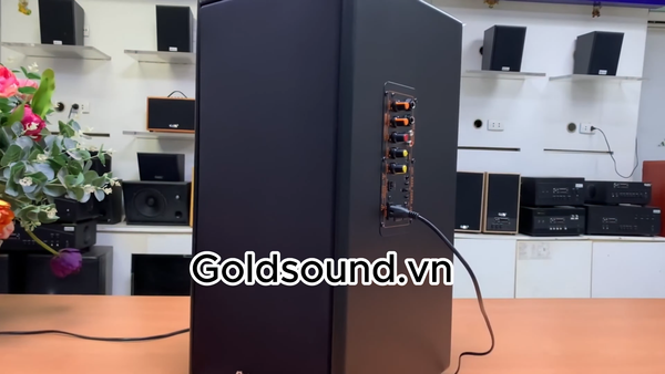 Loa KARAOKE D165PU (tặng kèm 1 micro)