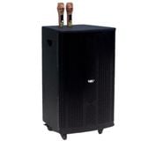 Loa kéo D550 Goldsound (Bass 40 cm, 550w, kèm 2 Micro)