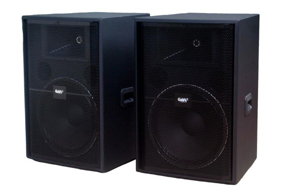 Loa V358PU_SG Goldsound (Full bass 40 cm) (số lượng 1 loa)