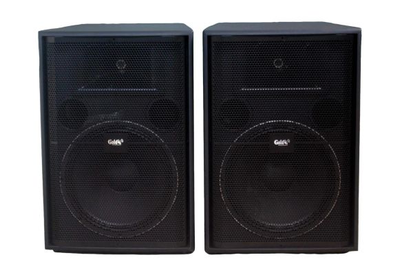 Loa V358PU_SG Goldsound (Full bass 40 cm) (số lượng 1 loa)