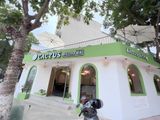 Loa Goldsound cho nhà hàng Cactus Bistro 88, Vĩnh Yên, Vĩnh Phúc, Amply 4 - 6 vùng âm lượng, loa được thiết kế riêng cho quán, bật lớn không tạp âm, miễn phí công lắp đặt, bảo hành dài hạn 5 năm.