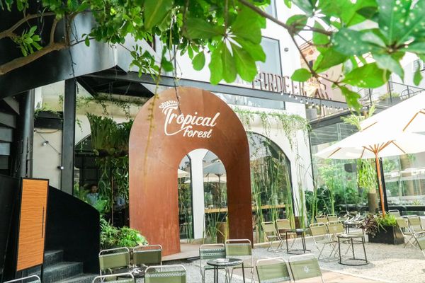 Loa cho quán cafe Tropical Forest, Amply 4 - 6 vùng âm lượng, loa được thiết kế riêng cho quán, bật lớn không tạp âm, miễn phí công lắp đặt, bảo hành dài hạn 5 năm.