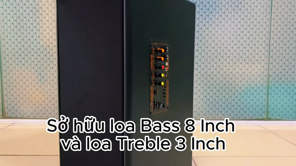 Loa di động D165PU-PI, pin 4-6h, công suất 165w, bass 20 cm, treble 10 cm, bluetooth 5.0, cổng cắm Micro, cổng rca, khe usb, thiết kế loa thùng gỗ cao 57 cm, rộng 28 cm, sâu 30 cm. Bảo hành 12 tháng