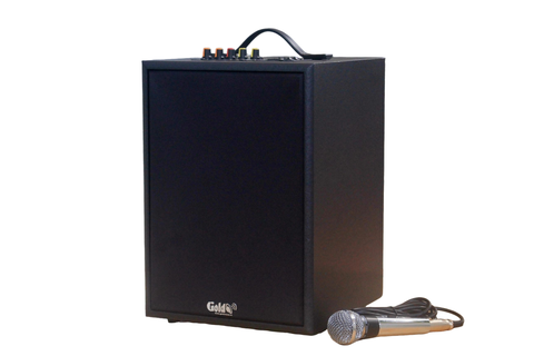 Loa trường học G120 Goldsound: 1 Micro có dây, công suất 120w, bass 20cm, treble 10cm, bluetooth 5.0