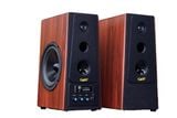 Loa vi tính HiFi W120