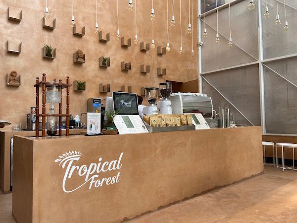 Loa cho quán cafe Tropical Forest, Amply 4 - 6 vùng âm lượng, loa được thiết kế riêng cho quán, bật lớn không tạp âm, miễn phí công lắp đặt, bảo hành dài hạn 5 năm.