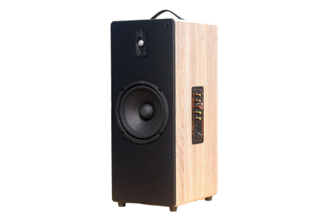 Loa di động D385P, công suất 80w, pin 4 - 6h, bass 20 cm, treble, bluetooth 5.0, cổng cắm Micro, cổng rca, khe usb, thiết kế loa thùng gỗ cao 63 cm, rộng 25 cm, sâu 31 cm. Bảo hành 12 tháng