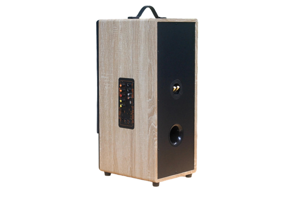 Loa di động D385P_TH, công suất 80w, pin 4 - 6h,  bass 20 cm, treble, bluetooth 5.0, cổng cắm Micro, cổng rca, khe usb, thiết kế loa thùng gỗ cao 63 cm, rộng 25 cm, sâu 31 cm. Bảo hành 12 tháng