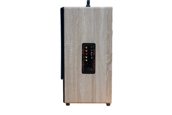 Loa di động D385P_TH, công suất 80w, pin 4 - 6h,  bass 20 cm, treble, bluetooth 5.0, cổng cắm Micro, cổng rca, khe usb, thiết kế loa thùng gỗ cao 63 cm, rộng 25 cm, sâu 31 cm. Bảo hành 12 tháng