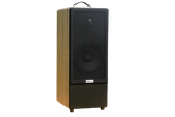 Loa di động D385P_TH, công suất 80w, pin 4 - 6h,  bass 20 cm, treble, bluetooth 5.0, cổng cắm Micro, cổng rca, khe usb, thiết kế loa thùng gỗ cao 63 cm, rộng 25 cm, sâu 31 cm. Bảo hành 12 tháng
