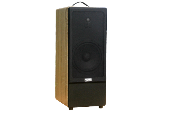 Loa di động D385P_TH, công suất 80w, pin 4 - 6h,  bass 20 cm, treble, bluetooth 5.0, cổng cắm Micro, cổng rca, khe usb, thiết kế loa thùng gỗ cao 63 cm, rộng 25 cm, sâu 31 cm. Bảo hành 12 tháng