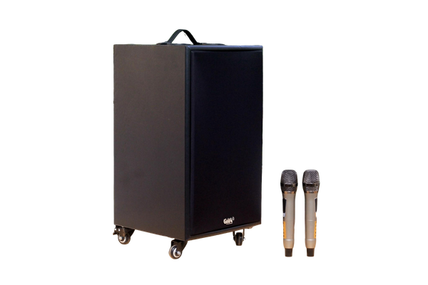 Loa di động D230PU - MI, công suất 230w, pin 4 - 6 tiếng, kèm 2 Micro, 1 bass, 1 treble, bluetooth 5.0, cổng rca, khe usb, thiết kế loa thùng gỗ, cao 57.25 cm, rộng 35.5 cm, sâu 36 cm. Bảo hành 12 tháng