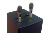 Loa di động D230PU_TH - MI, công suất 230w, pin 4 - 6 tiếng, kèm 2 Micro, 1 bass, 1 treble, bluetooth 5.0, cổng rca, khe usb, thiết kế loa thùng gỗ, cao 57.25 cm, rộng 35.5 cm, sâu 36 cm. Bảo hành 12 tháng