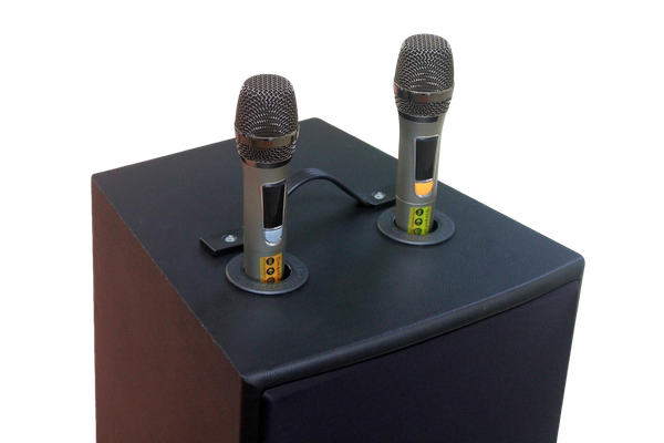 Loa di động D230PU_TH - MI, công suất 230w, pin 4 - 6 tiếng, kèm 2 Micro, 1 bass, 1 treble, bluetooth 5.0, cổng rca, khe usb, thiết kế loa thùng gỗ, cao 57.25 cm, rộng 35.5 cm, sâu 36 cm. Bảo hành 12 tháng
