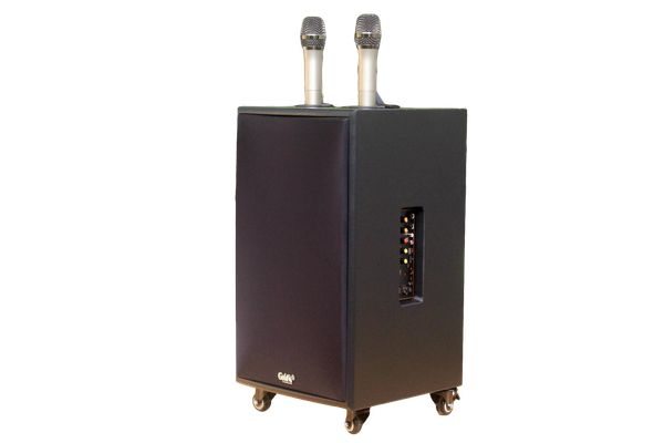 Loa di động D230PU_TH - MI, công suất 230w, pin 4 - 6 tiếng, kèm 2 Micro, 1 bass, 1 treble, bluetooth 5.0, cổng rca, khe usb, thiết kế loa thùng gỗ, cao 57.25 cm, rộng 35.5 cm, sâu 36 cm. Bảo hành 12 tháng