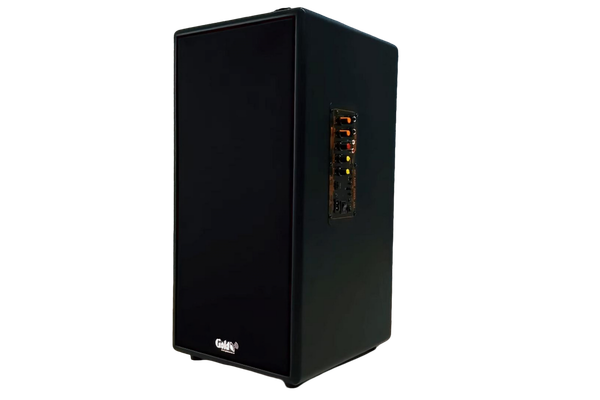 Loa trường học D165PU + 1 micro dây: công suất 165w, bass 20 cm, treble 10 cm, bluetooth 5.0, cổng cắm Micro, cổng rca, khe usb, thiết kế loa thùng gỗ cao 57 cm, rộng 28 cm, sâu 30 cm. Bảo hành 12 tháng