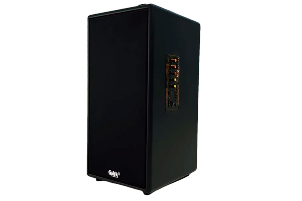Loa di động D165PU-PI, pin 4-6h, công suất 165w, bass 20 cm, treble 10 cm, bluetooth 5.0, cổng cắm Micro, cổng rca, khe usb, thiết kế loa thùng gỗ cao 57 cm, rộng 28 cm, sâu 30 cm. Bảo hành 12 tháng