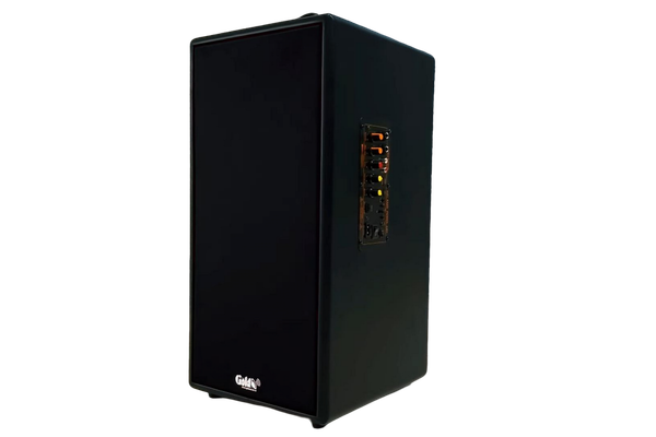 Loa trường học D165PU + 1 micro dây: công suất 165w, bass 20 cm, treble 10 cm, bluetooth 5.0, cổng cắm Micro, cổng rca, khe usb, thiết kế loa thùng gỗ cao 57 cm, rộng 28 cm, sâu 30 cm. Bảo hành 12 tháng