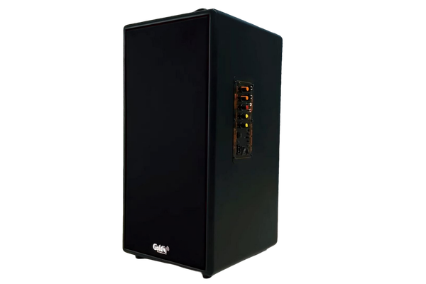 Loa di động D165PU-PI, pin 4-6h, công suất 165w, bass 20 cm, treble 10 cm, bluetooth 5.0, cổng cắm Micro, cổng rca, khe usb, thiết kế loa thùng gỗ cao 57 cm, rộng 28 cm, sâu 30 cm. Bảo hành 12 tháng