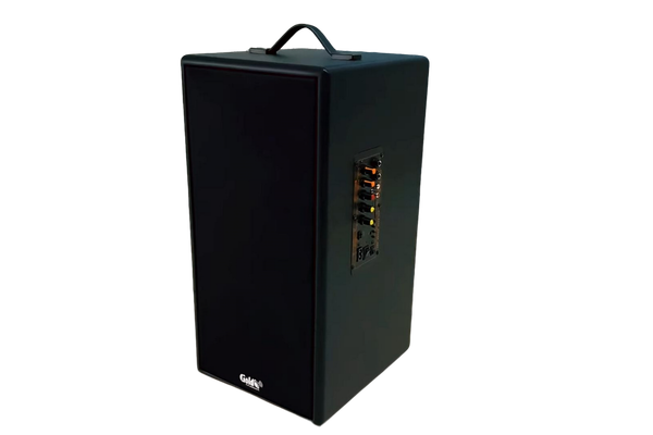 Loa di động D165PU-PI, pin 4-6h, công suất 165w, bass 20 cm, treble 10 cm, bluetooth 5.0, cổng cắm Micro, cổng rca, khe usb, thiết kế loa thùng gỗ cao 57 cm, rộng 28 cm, sâu 30 cm. Bảo hành 12 tháng