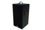 Loa trường học D165PU + 1 micro dây: công suất 165w, bass 20 cm, treble 10 cm, bluetooth 5.0, cổng cắm Micro, cổng rca, khe usb, thiết kế loa thùng gỗ cao 57 cm, rộng 28 cm, sâu 30 cm. Bảo hành 12 tháng