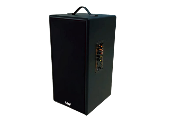 Loa trường học D165PU + 1 micro dây: công suất 165w, bass 20 cm, treble 10 cm, bluetooth 5.0, cổng cắm Micro, cổng rca, khe usb, thiết kế loa thùng gỗ cao 57 cm, rộng 28 cm, sâu 30 cm. Bảo hành 12 tháng