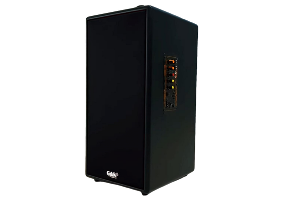 Loa di động D165PU-PI, pin 4-6h, công suất 165w, bass 20 cm, treble 10 cm, bluetooth 5.0, cổng cắm Micro, cổng rca, khe usb, thiết kế loa thùng gỗ cao 57 cm, rộng 28 cm, sâu 30 cm. Bảo hành 12 tháng