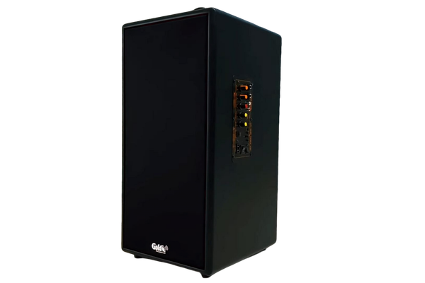Loa trường học D165PU + 1 micro dây: công suất 165w, bass 20 cm, treble 10 cm, bluetooth 5.0, cổng cắm Micro, cổng rca, khe usb, thiết kế loa thùng gỗ cao 57 cm, rộng 28 cm, sâu 30 cm. Bảo hành 12 tháng