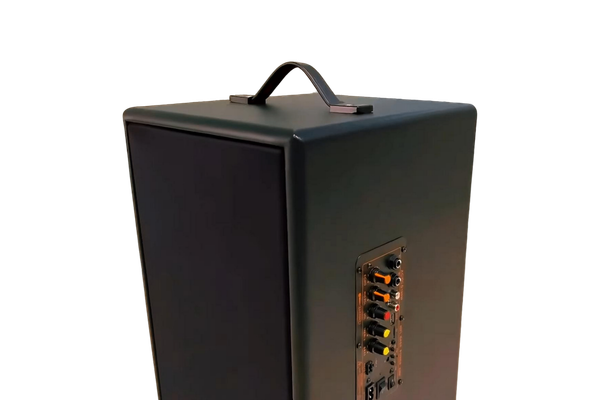 Loa di động D165PU-PI, pin 4-6h, công suất 165w, bass 20 cm, treble 10 cm, bluetooth 5.0, cổng cắm Micro, cổng rca, khe usb, thiết kế loa thùng gỗ cao 57 cm, rộng 28 cm, sâu 30 cm. Bảo hành 12 tháng