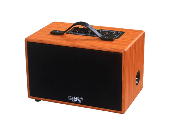 Loa di động D99P_DA, công suất 50w, pin 8 - 12h, bass 4 inch, 1 treble, bluetooth 5.0, 2 cổng cắm Micro, cổng rca, khe usb, thiết kế loa thùng gỗ cao 20 cm, rộng 32 cm, sâu 20 cm. Bảo hành 12 tháng