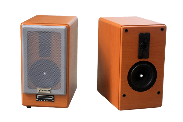 Loa HIFI H70B