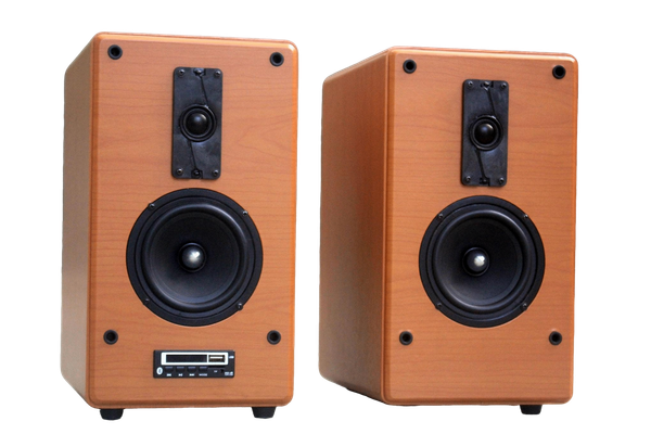 Loa HIFI H70B