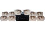 [Loa thông báo] Amply A907PU-100V + 10 Ne20w, Amply hai vùng âm lượng, loa được thiết kế riêng, bật lớn không tạp âm, miễn phí công lắp đặt, bảo hành dài hạn 12 tháng