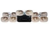[Loa thông báo] Amply A907PU-100V + 10 Ne20w, Amply hai vùng âm lượng, loa được thiết kế riêng, bật lớn không tạp âm, miễn phí công lắp đặt, bảo hành dài hạn 12 tháng