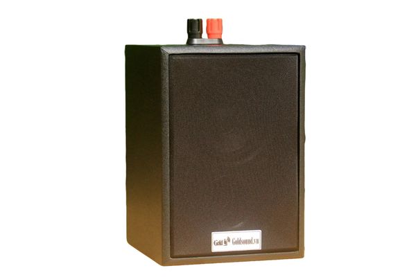 Loa vệ tinh treo tường Goldsound V12-SG Gold4cafe (1 loa)- 12w, củ loa toàn dải cả âm Bass &Tress 3 inch, loa được thiết kế đập chậm để phù hợp với style quán dịch vụ, kích thước (Rộng*Cao*Sâu): 13*18*12.5 cm; chất liệu thùng gỗ 100%. Bảo hành 60 tháng