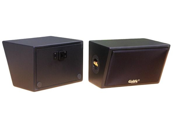 Loa vệ tinh sân vườn Goldsound V50NT-PU (ngoài trời, sl 1 chiếc), công suất 50w, thiết kế chống nước, loa bass 4 inch, treble 2 inch, kích thước rộng 26 cm, cao 17 cm, sâu 20 cm, phủ da cao cấp, bảo hành 12 tháng.
