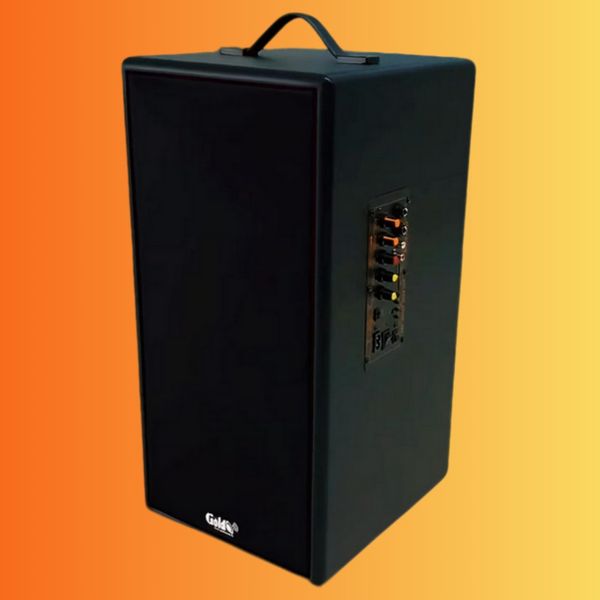 Loa di động D165PU-PI, pin 4-6h, công suất 165w, bass 20 cm, treble 10 cm, bluetooth 5.0, cổng cắm Micro, cổng rca, khe usb, thiết kế loa thùng gỗ cao 57 cm, rộng 28 cm, sâu 30 cm. Bảo hành 12 tháng