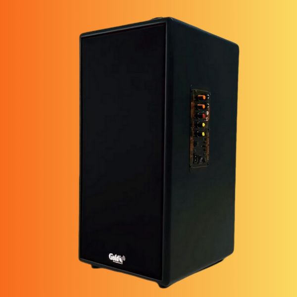 Loa di động D165PU-PI, pin 4-6h, công suất 165w, bass 20 cm, treble 10 cm, bluetooth 5.0, cổng cắm Micro, cổng rca, khe usb, thiết kế loa thùng gỗ cao 57 cm, rộng 28 cm, sâu 30 cm. Bảo hành 12 tháng