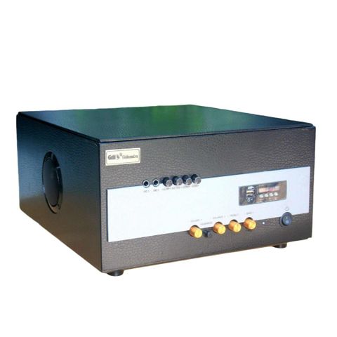 Loa cafe, Loa nhà hàng: Âm ly A1100 (1100w) Goldsound